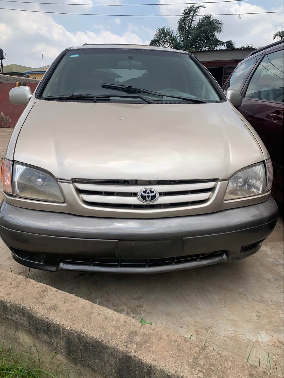 A picture of 02 Sienna