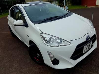 hybrid cars