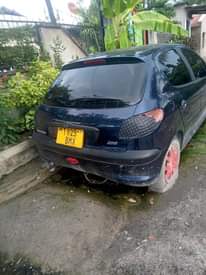 A picture of Peugeot