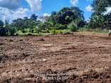 A picture of Gobero Lutisi plots with ready land Titles at 10million call