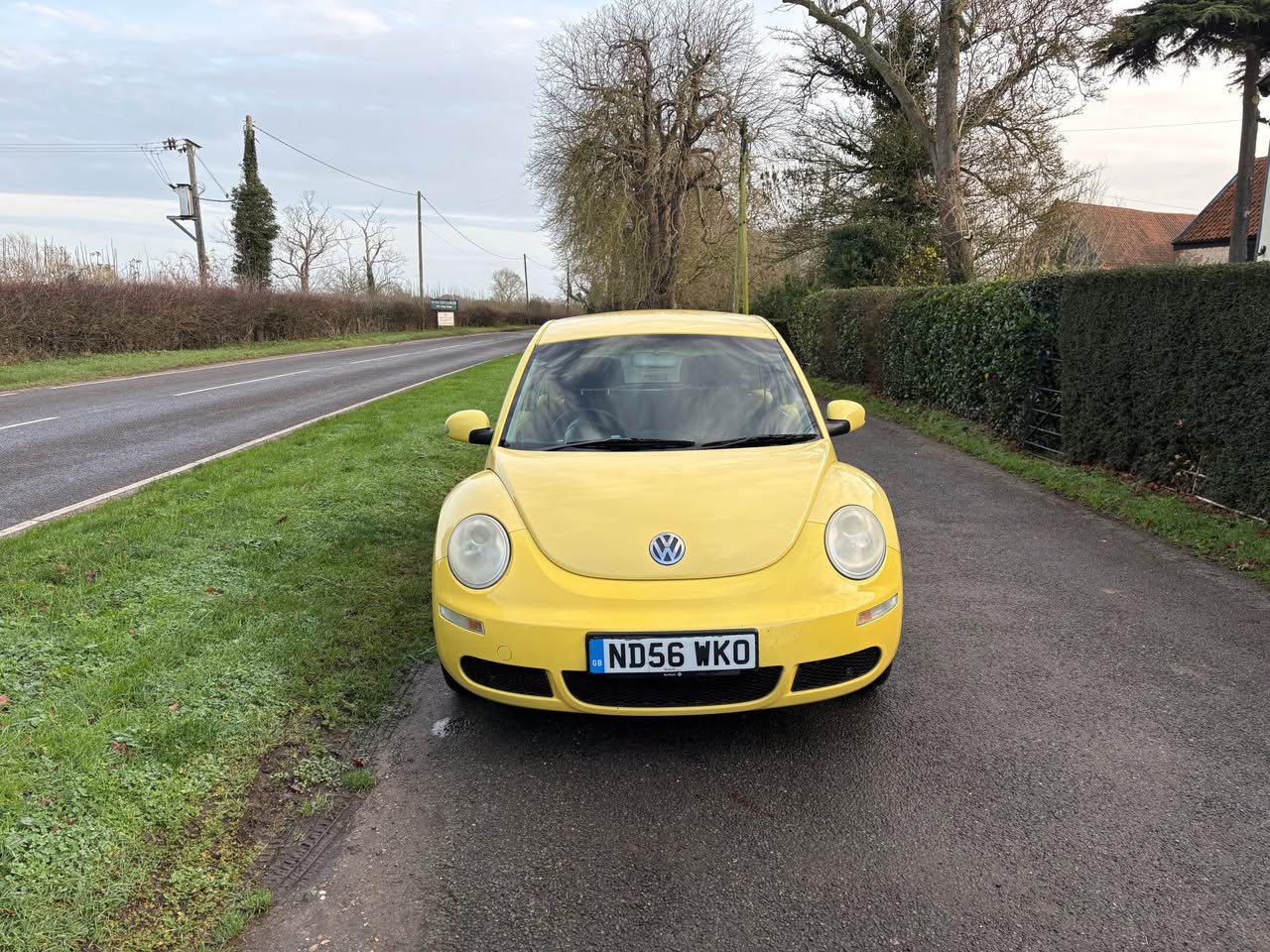 vw beetle