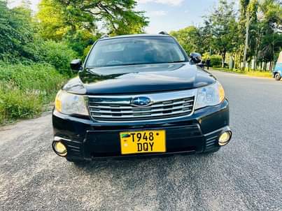 subaru forester