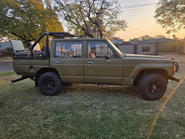 datsun