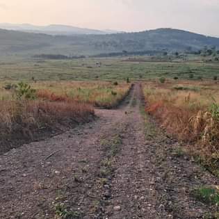A picture of Plots and Houses for sell