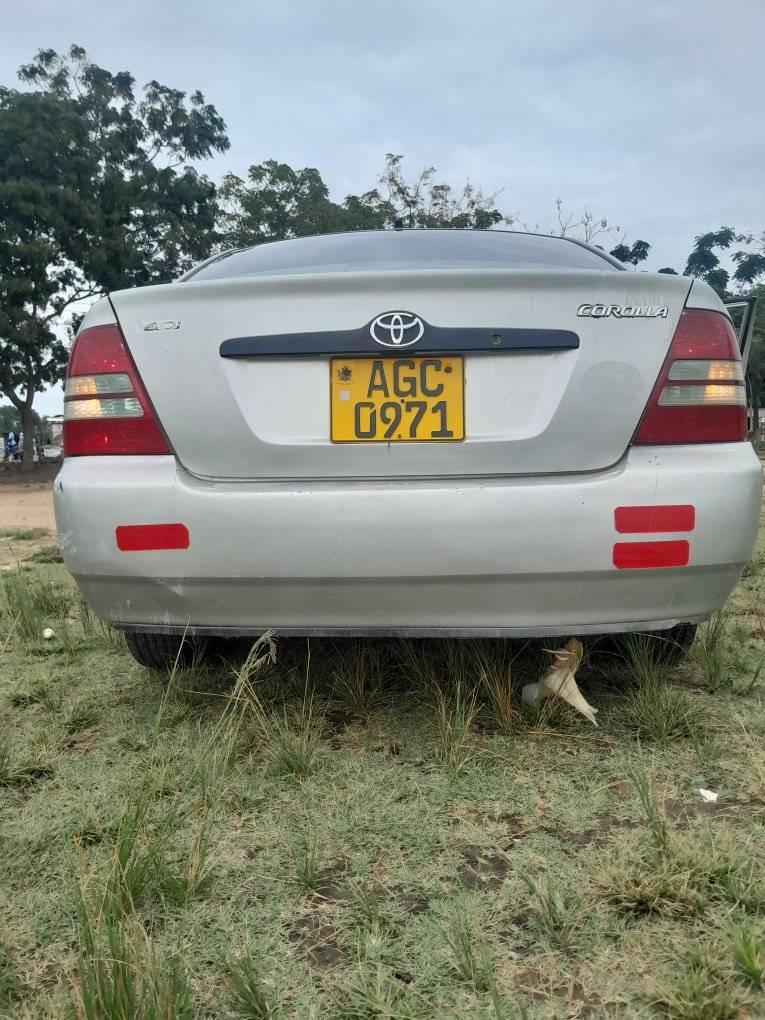 toyota corolla bubble