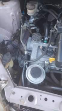 A picture of vitz