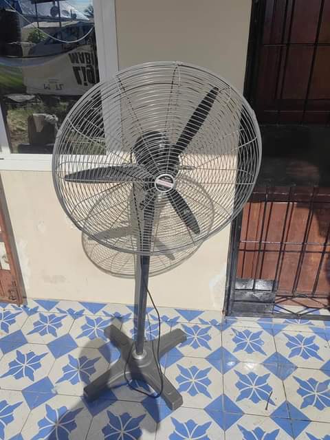 fans