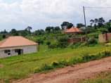 A picture of Deal yakisubuzi Plot 50x100ft With REDYTITLE Price 9MILLION Located matugga