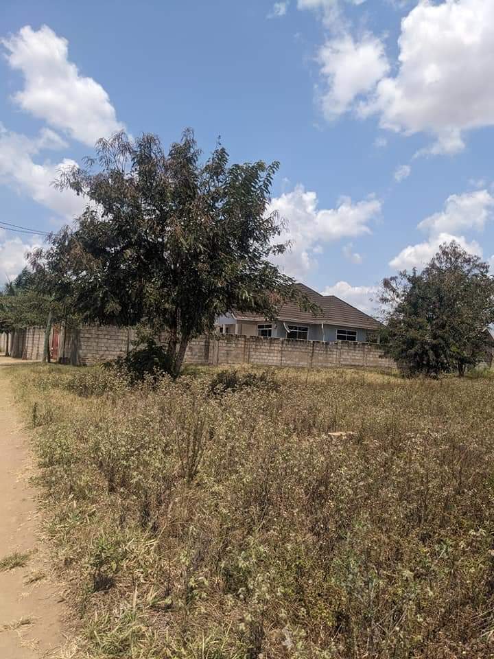 kiwanja