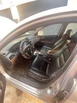 A picture of Honda Accord 2010 model