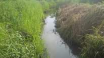 A picture of LAND
