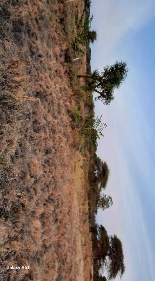 A picture of Kiwanja kinauzwa