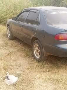 A picture of 08169734432