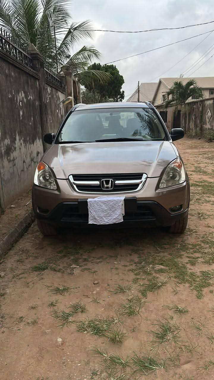 A picture of 2004 Honda cr v
