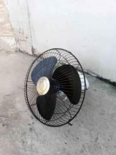 A picture of Feni