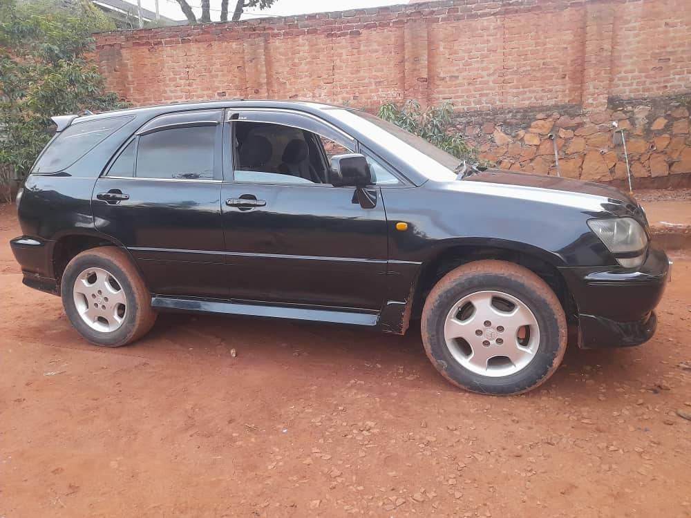 A picture of Car Harrier