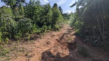 A picture of Acres in Kakiri