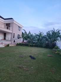 A picture of House On Sale