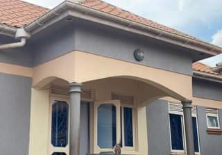 A picture of Urgently need money