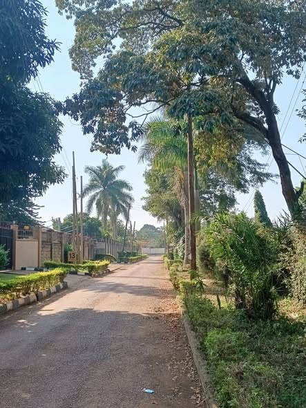 A picture of GOOD DEAL 60 DECIMALS KYAMBOGO ESTATE AT 1 6B