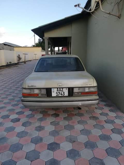zed cars_under_20pin