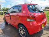 A picture of Vitz
