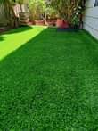 A picture of Wall wall woolen carpets and Artficial turf grass for offices.