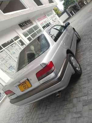 A picture of CARLINA Ti 0714058883