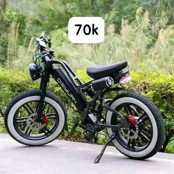 A picture of Electric Bicycle For Sale