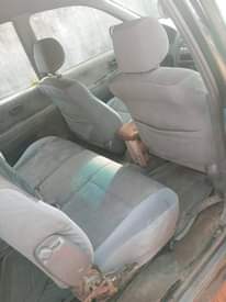 A picture of Toyota picnic