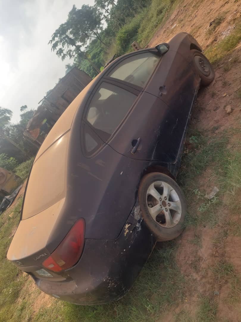 A picture of 2009 Hyunda electra