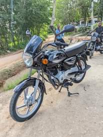 A picture of Boxer HD 125