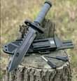 A picture of KOTI