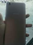 A picture of Inauzwa vivo