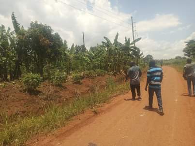 houses matugga