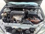 A picture of Big daddy