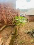 A picture of PLOT WITH SHELL HOUSE FOR SALE