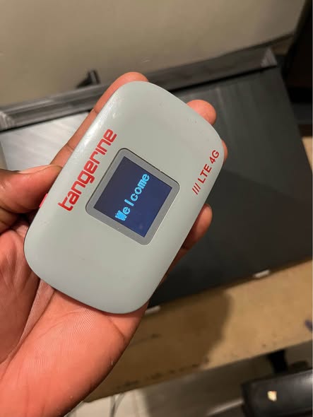 A picture of Lyca Mifi