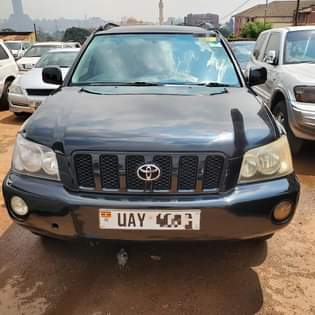 A picture of KLUGER 2004 21M