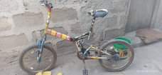 A picture of Baskel
