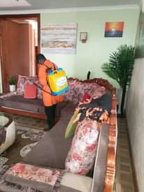 A picture of Fumigation and pest Control services