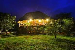 A picture of A lodge at Ishasha near Queen Elizabeth National game park