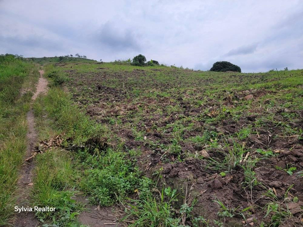A picture of 100BY100FT PLOT FOR SALE