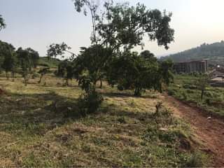 A picture of Land for sale at Bwebajja Bugu Hill half a kilometer