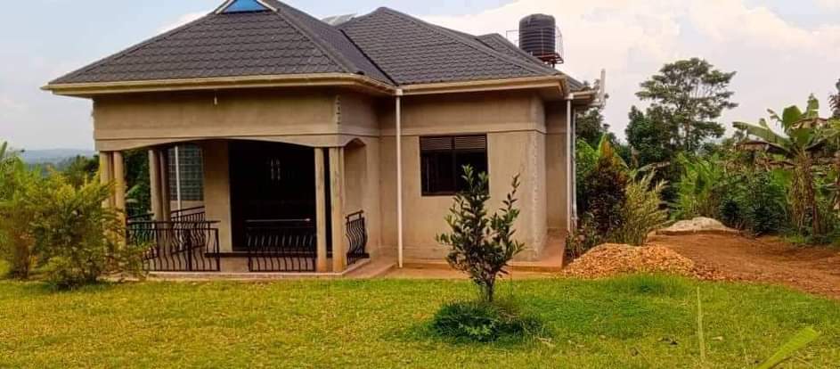 houses matugga
