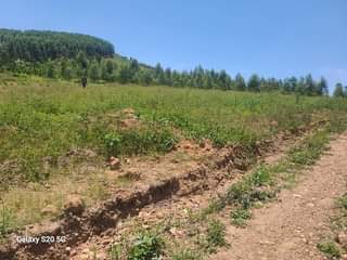 A picture of 50 100FT TITLED PLOTS STILL AVAILABLE AT OUR GOBERO WAKISO