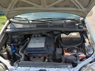 A picture of Sienna 02