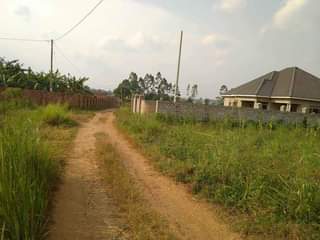 A picture of Quick sale 50by100 ready title at 20m Busubuzi price located