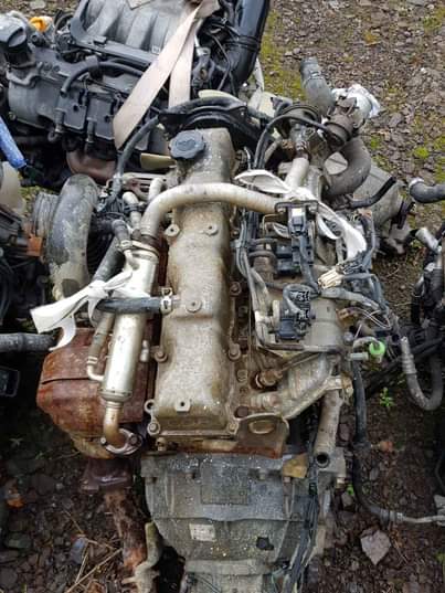 classifieds recent import