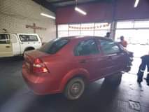 Nozipho L.